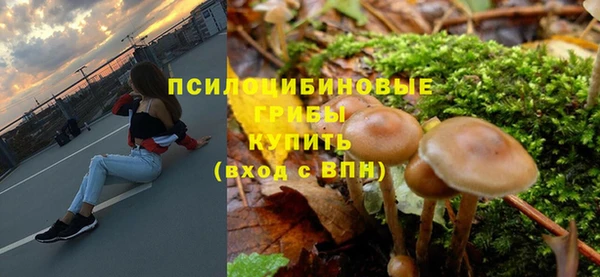 тгк Абинск