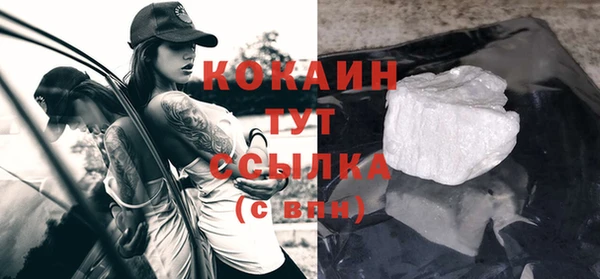 тгк Абинск