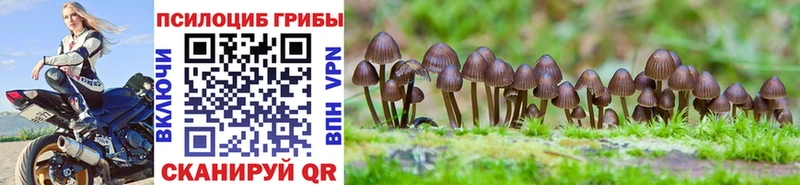 Псилоцибиновые грибы Magic Shrooms  Тихорецк 